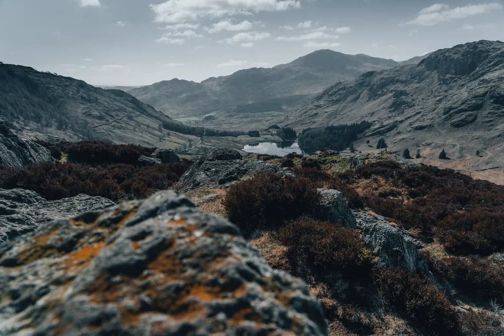 Self-Diagnosing Your PhD or Postdoc: Assess for Success