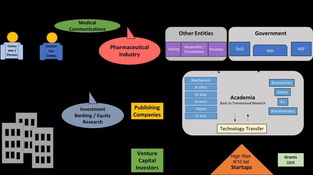 Discovery to Development: PhD Careers in Industry - Grants Management and Publications (Article 2)